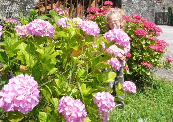filette au milieu des fleures