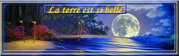 bannière