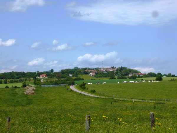 montdoré